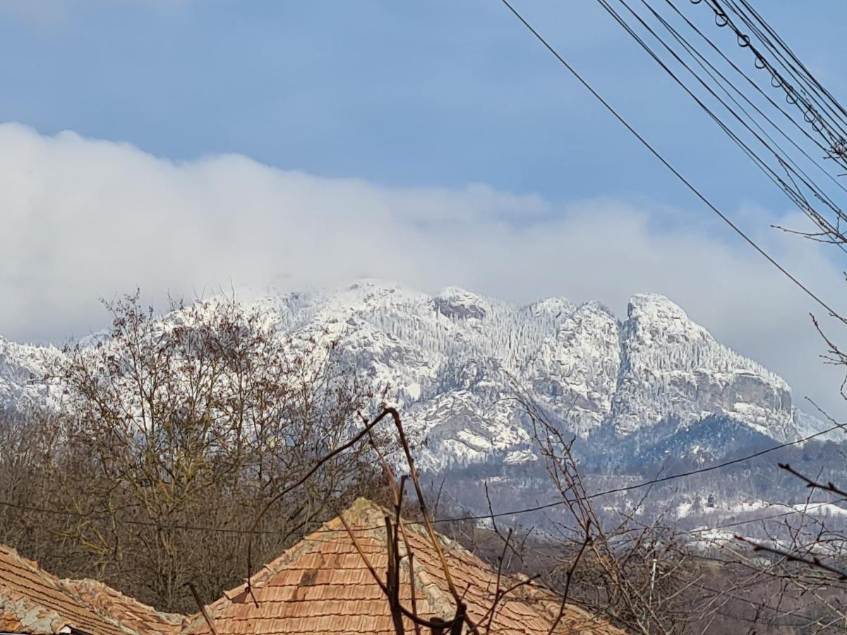 Casa Hera Călimăneşti المظهر الخارجي الصورة