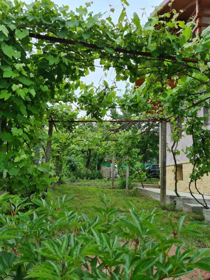 Casa Hera Călimăneşti المظهر الخارجي الصورة