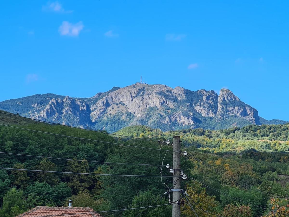 Casa Hera Călimăneşti المظهر الخارجي الصورة