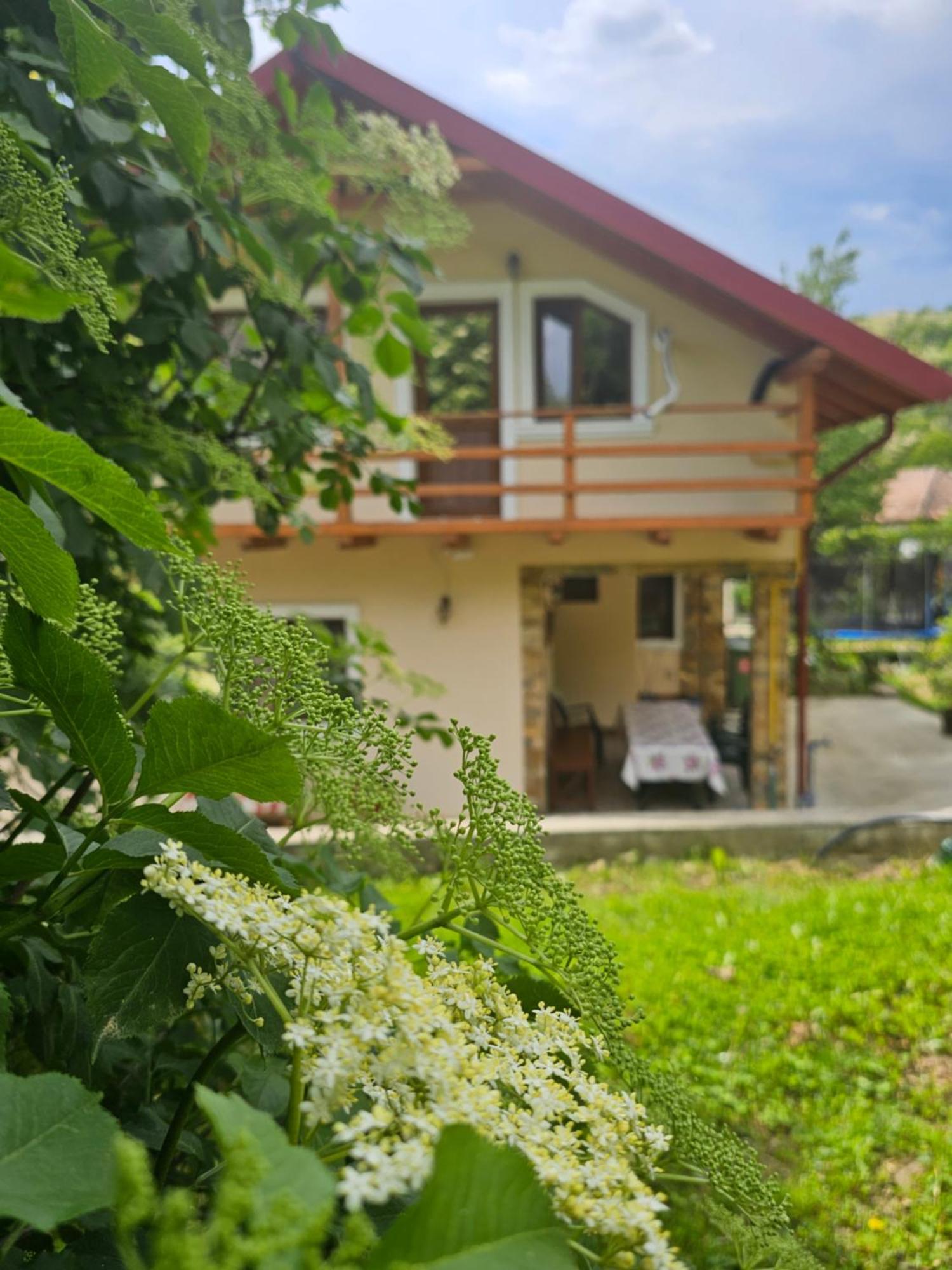 Casa Hera Călimăneşti المظهر الخارجي الصورة