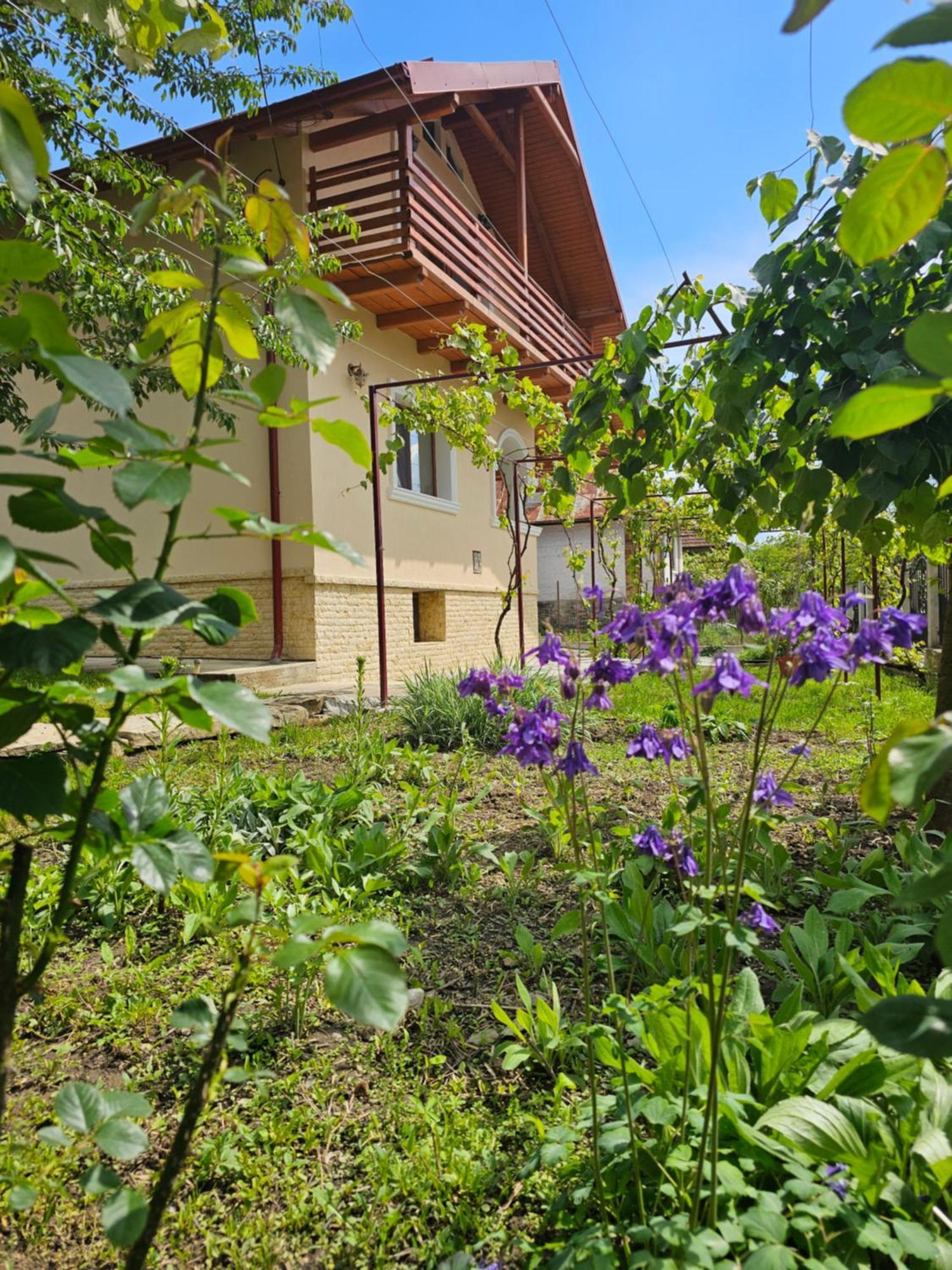 Casa Hera Călimăneşti المظهر الخارجي الصورة